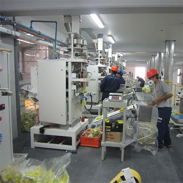 detergent-powder-equipment-washing-powder35506544437