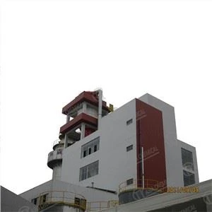 দক্ষ ডিটারজেন্ট পাউডার প্রকল্প